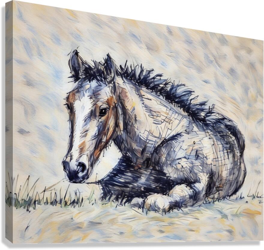 ArtXcl 364 horse Canvas Print