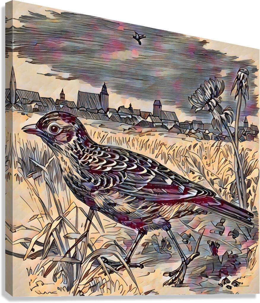 ArtXcl 330 bird walking Canvas Print