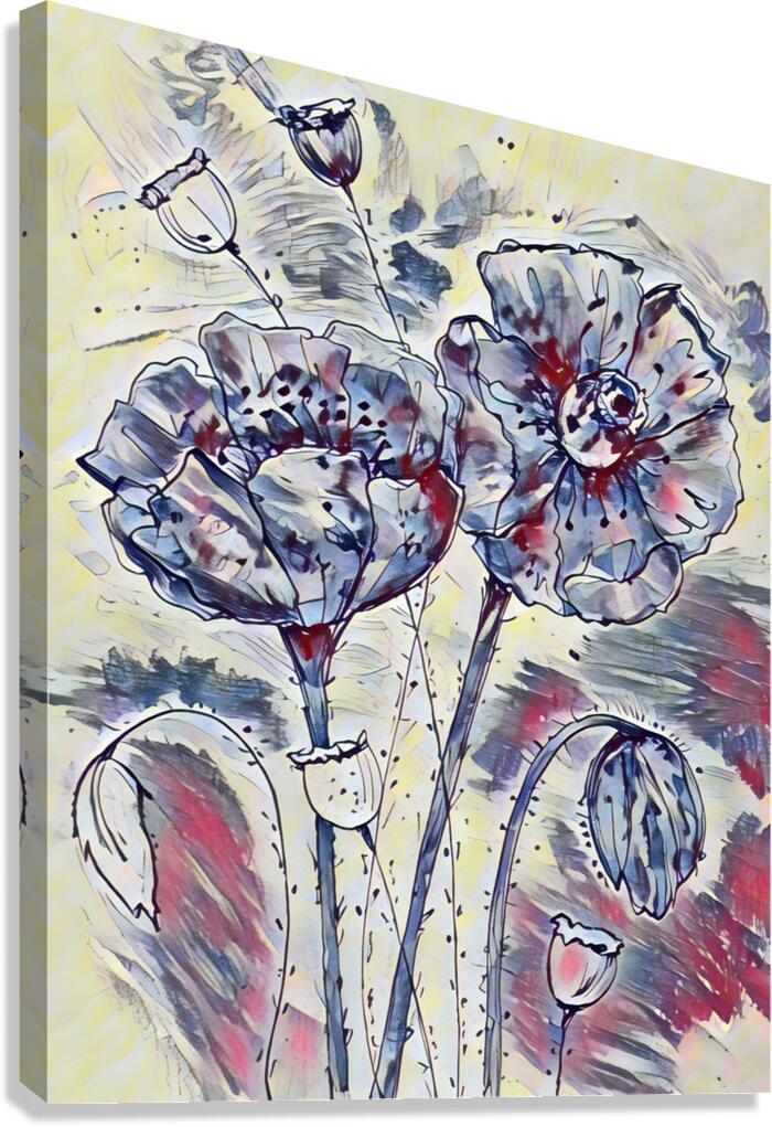 ArtXcl 338 poppies real pencil sketch Canvas Print