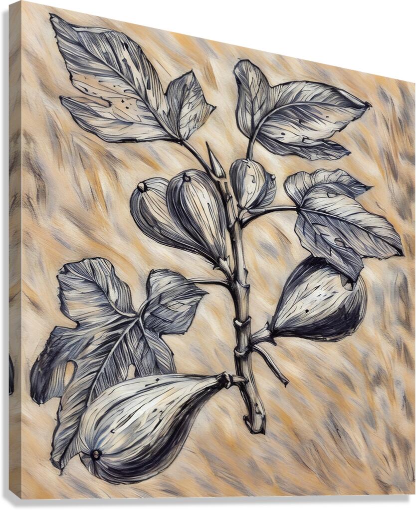 ArtXcl 333 common fig pencil sketch Canvas Print