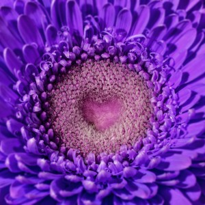 BLOSSOM