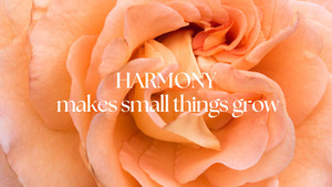 Harmony