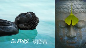 ZEN BUDDHA