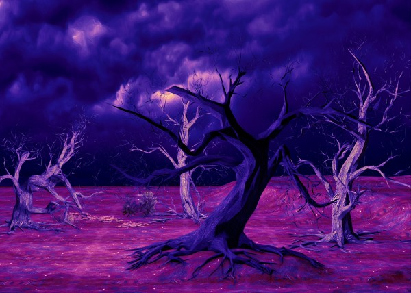 PURPLE FOREST Print