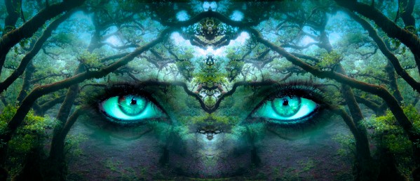 FANTASY by ALL ABOUT YOU ART