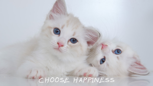 Happiness Imprimer