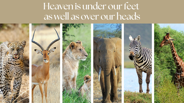 Heaven is under our feet   by ALL ABOUT YOU ART