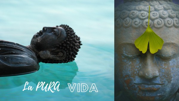 ZEN BUDDHA Print