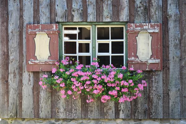 Romantic Cottage Print