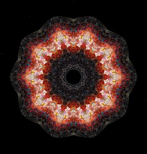 A.P.Polo - Schwarzschild-Metrik