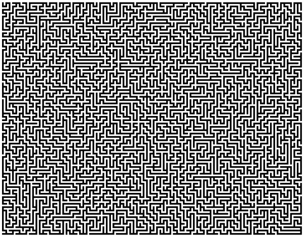 A.P.Polo - Labyrinth Print