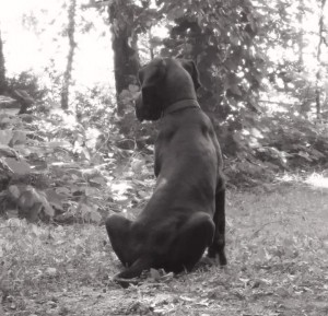 FB_IMG_1509026179800