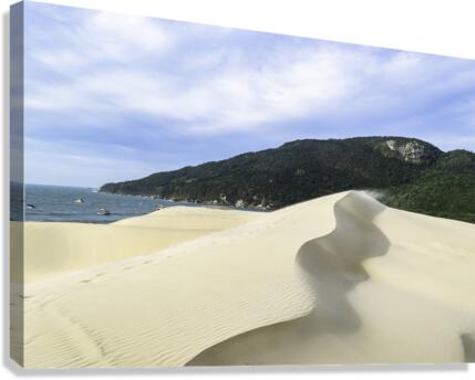 High dunes Canvas Print
