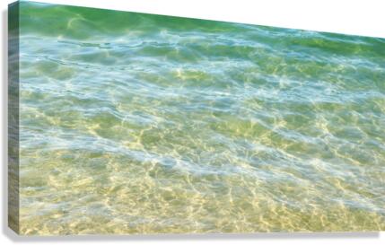 Transparency Canvas Print