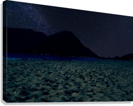 Starry night Canvas Print