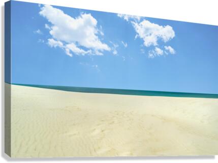 Shoreline Canvas Print