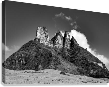 Twins b&w Canvas Print