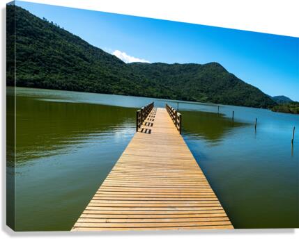 Long pier Canvas Print