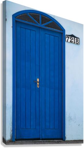 Blue door Canvas Print