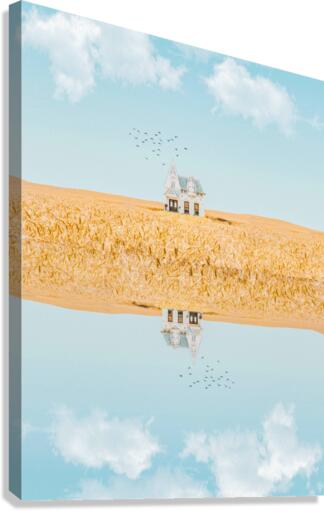Mirror Canvas Print