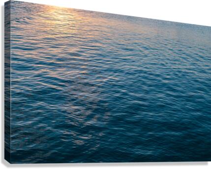 Ocean Canvas Print