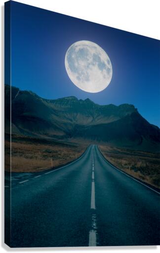 Big moon Canvas Print