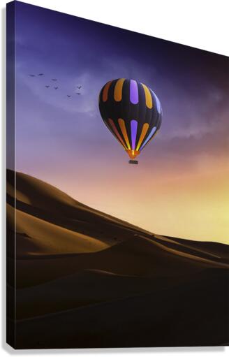 Balloon Canvas Print