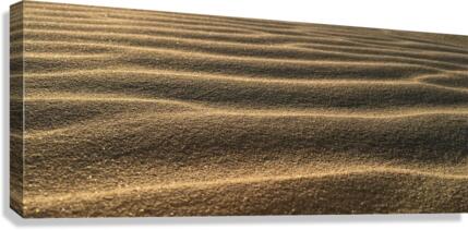 Sand details Canvas Print