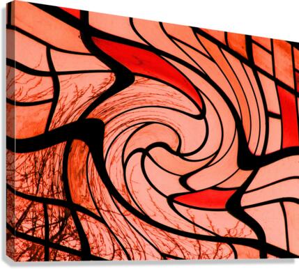 Swirl Canvas Print