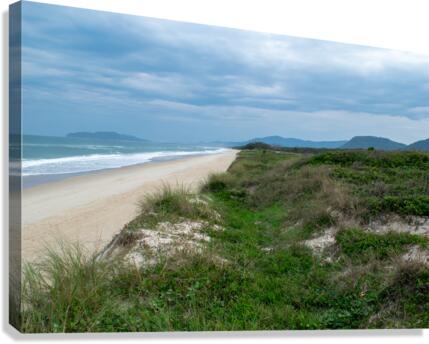 Lone beach Canvas Print