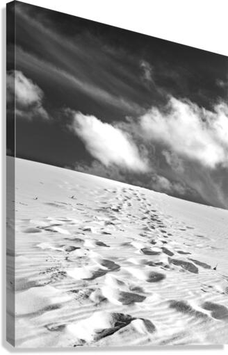 Dune b&w Canvas Print