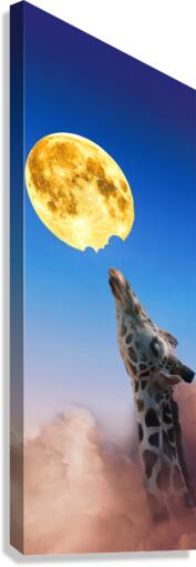 Tasty Moon Canvas Print