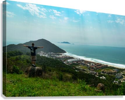 Who Canvas Print