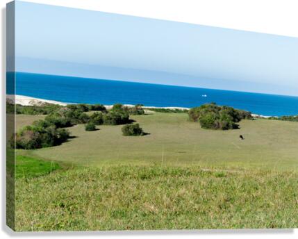Marvelous field Canvas Print