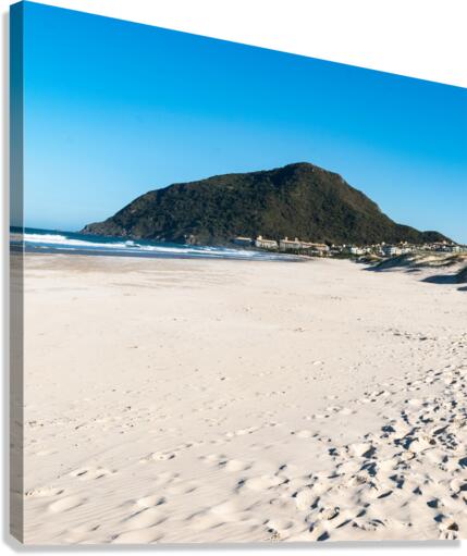 Sand Canvas Print