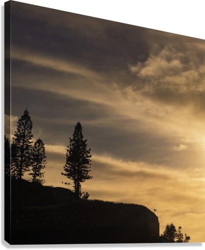 Rain Coming Canvas Print