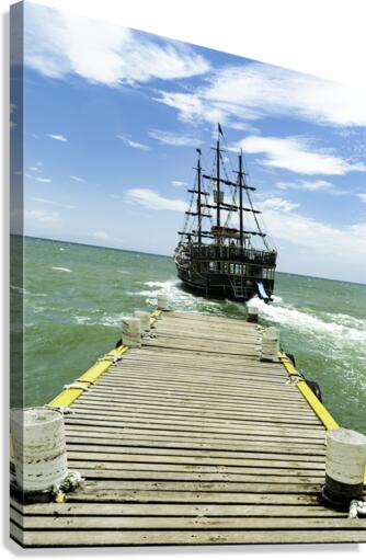 Leaving collor Canvas Print
