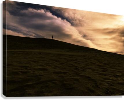 One Canvas Print