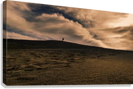 Three Canvas Print