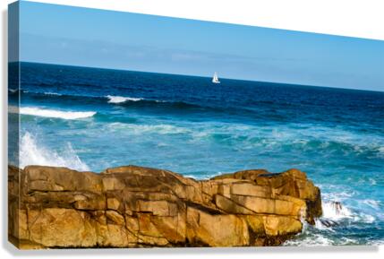 Sail Boat Canvas Print