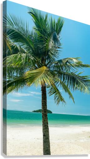 Island Canvas Print