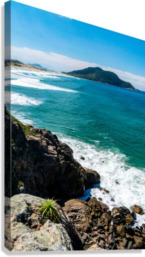 Long Shot Canvas Print