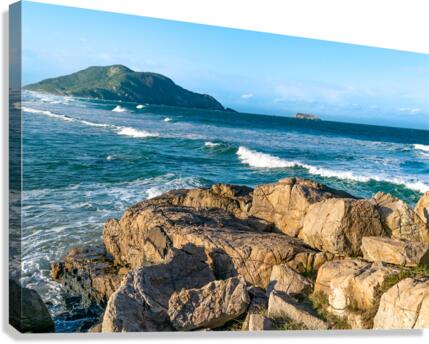 Waves Canvas Print