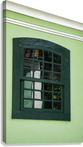 Green Window Canvas Print
