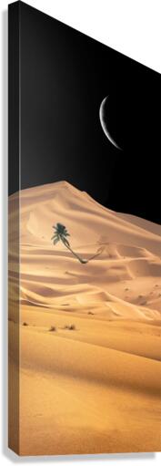 Desert Canvas Print