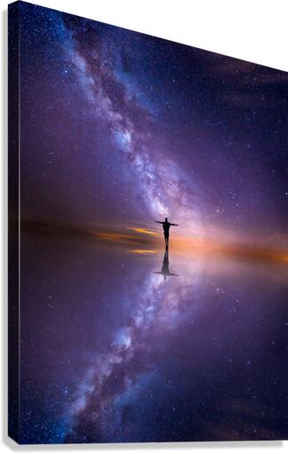 Reflex Canvas Print