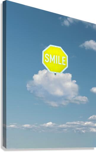 Smile Canvas Print