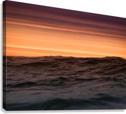 Wave at Sunset Canvas Print