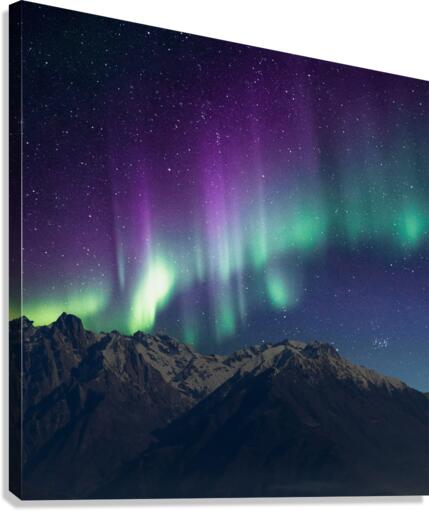 Boreal Canvas Print