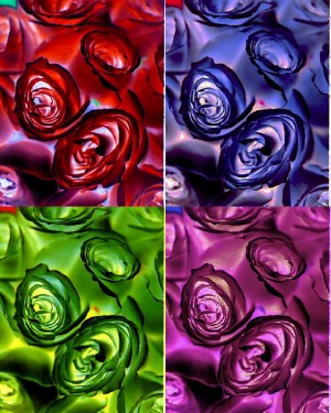 PSYCHEDELIC ROSES 